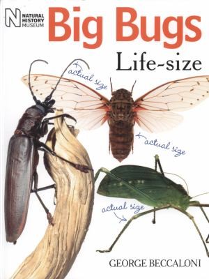 Big Bugs Lifesize by George Beccaloni book cover