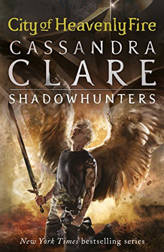 The Mortal Instruments 6 by Cassandra Clare book cover